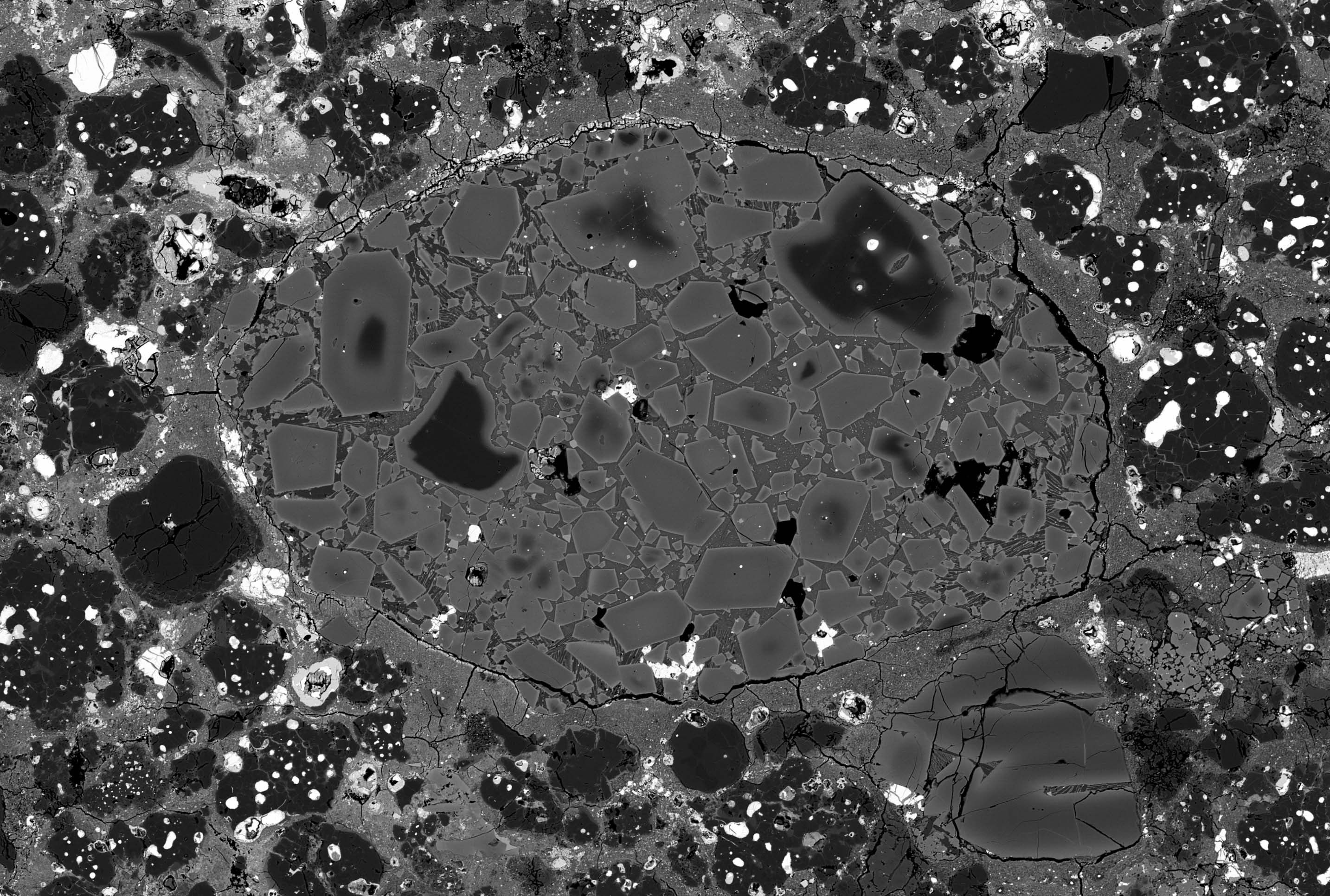 Backscattered electron image of chondrule in a primitive meteorite