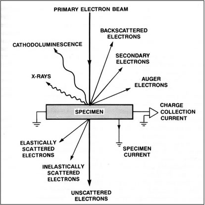 Sketch showing electron-solid interaction, illustrating signals used during electron microprobe analysis