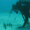 Photo of Kristen Fogaren.