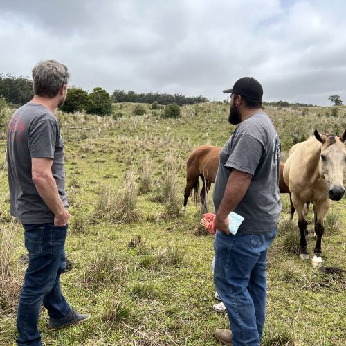 The PDKE on a Hawaiʻi Island ranch visit.