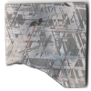 Iron meteorite