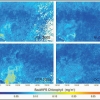 Satellite image showing "heartbeat of ocean"