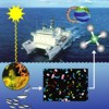 A conceptual view of the role of sunlight in producing methylphosphonate. Credit: C-MORE/SOEST