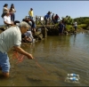 Testing robots in Waikalua fish pond