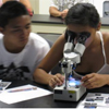 Students using microscope