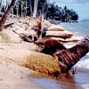 Sand loss on Maui