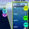 Sequencing our Seas