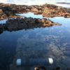 Tide pool in Central California