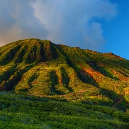 “Aloha” by Paul Bica. Licensed under CC BY 2.0.