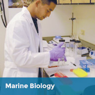 Grad admissions Marine Bio image