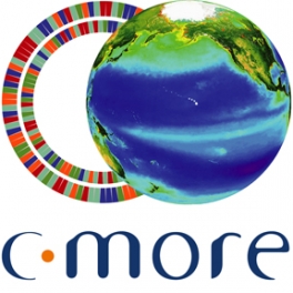 C-MORE Logo