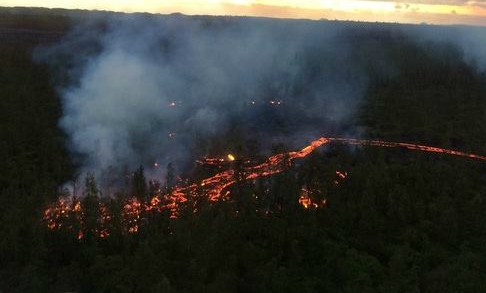 photo of lava burning trees