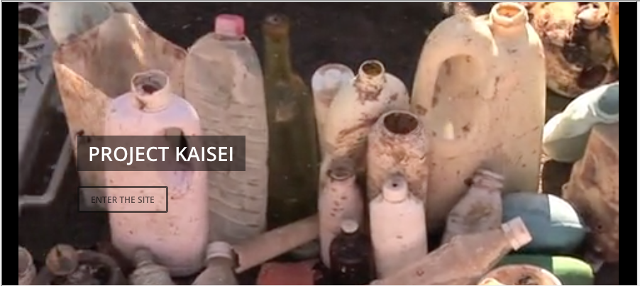 Photo of marine debris.