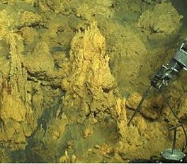 Photo of sampling microbial mats.