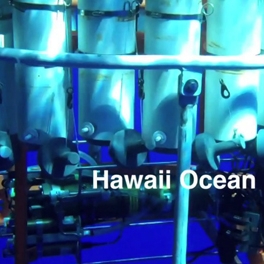 HOT 250th cruise video preview