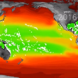 IPRC acidification model video preview