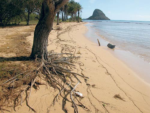 Photo of beach erosion