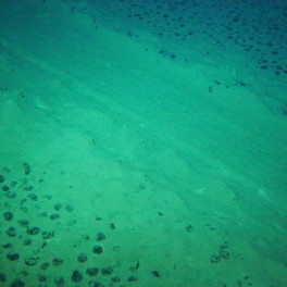 Image of test mining track