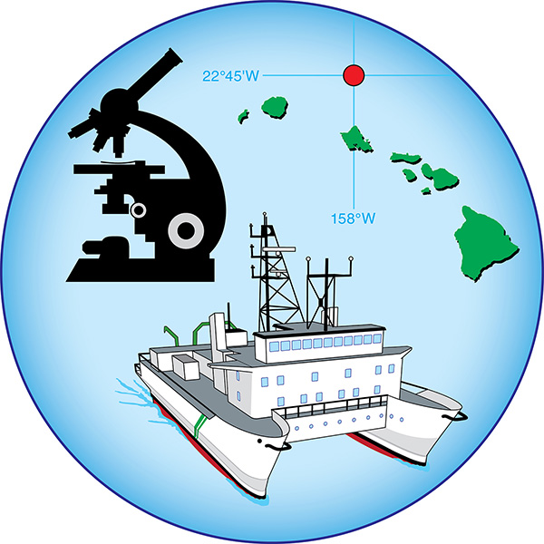 Station ALOHA shield logo