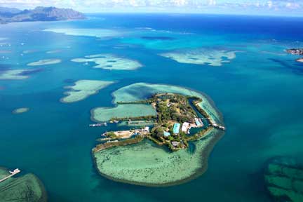 Coconut Island. Image courtesy HIMB / SOEST