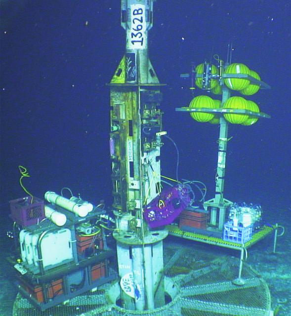 Upper portion of a CORK wellhead
