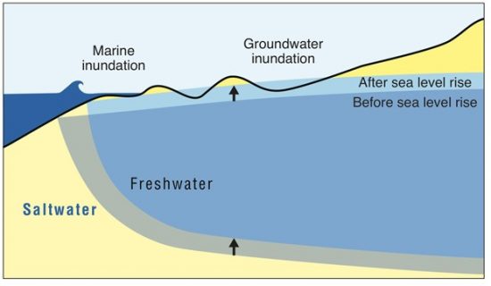 Sealevel rise graphic by Nancy Hulbirt