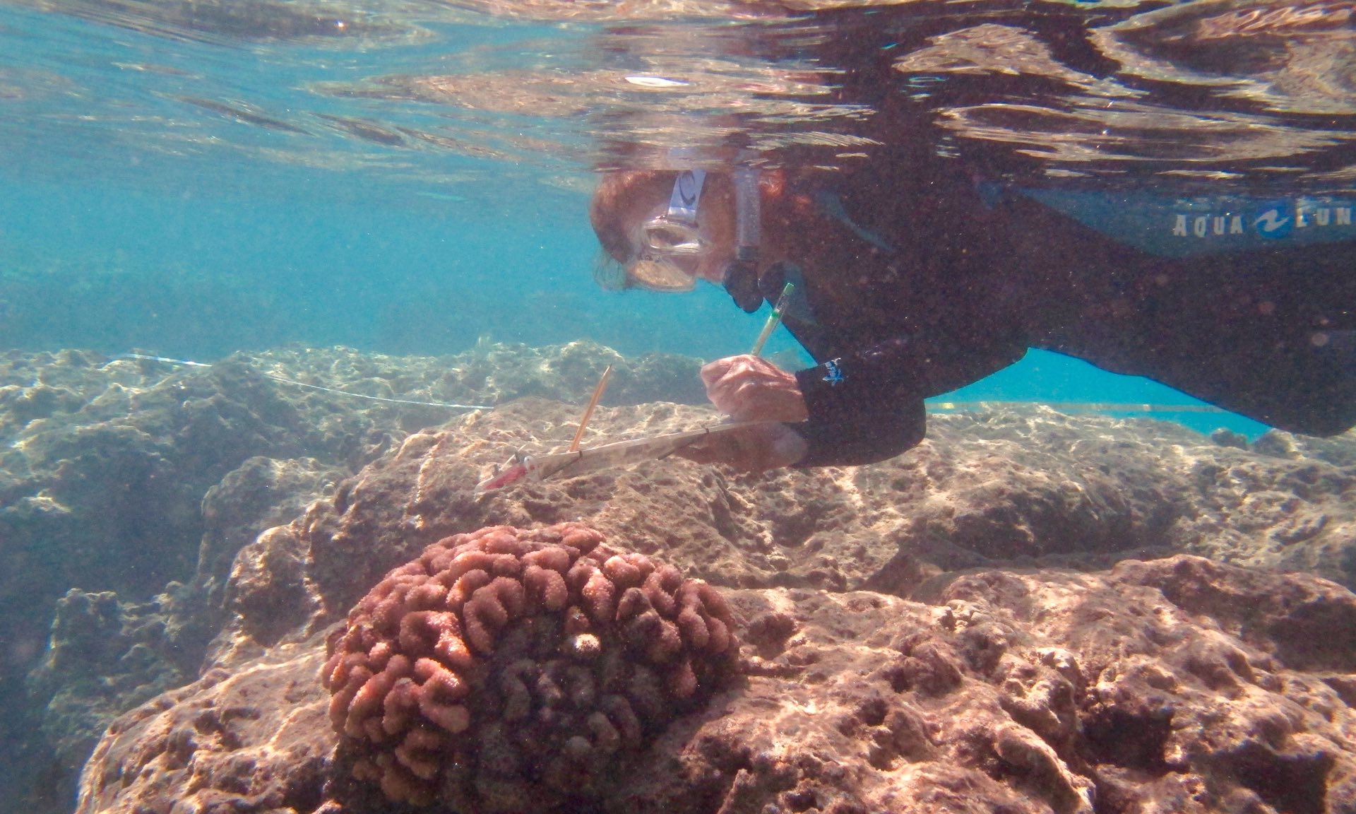 Ku‘ulei Rodgers conducts a coral bleaching survey.