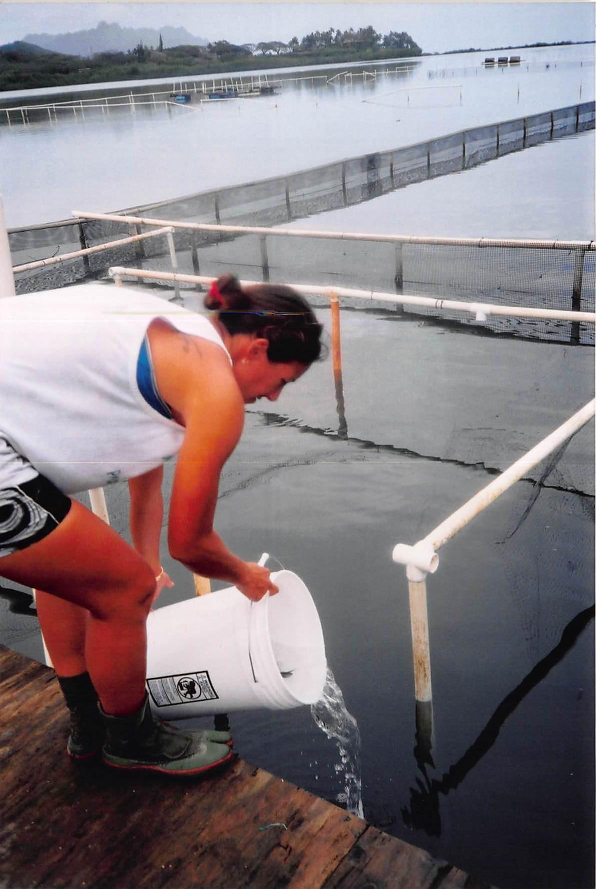 Hiilei Kawelo tending to moi at Heʻeia Fishpond.