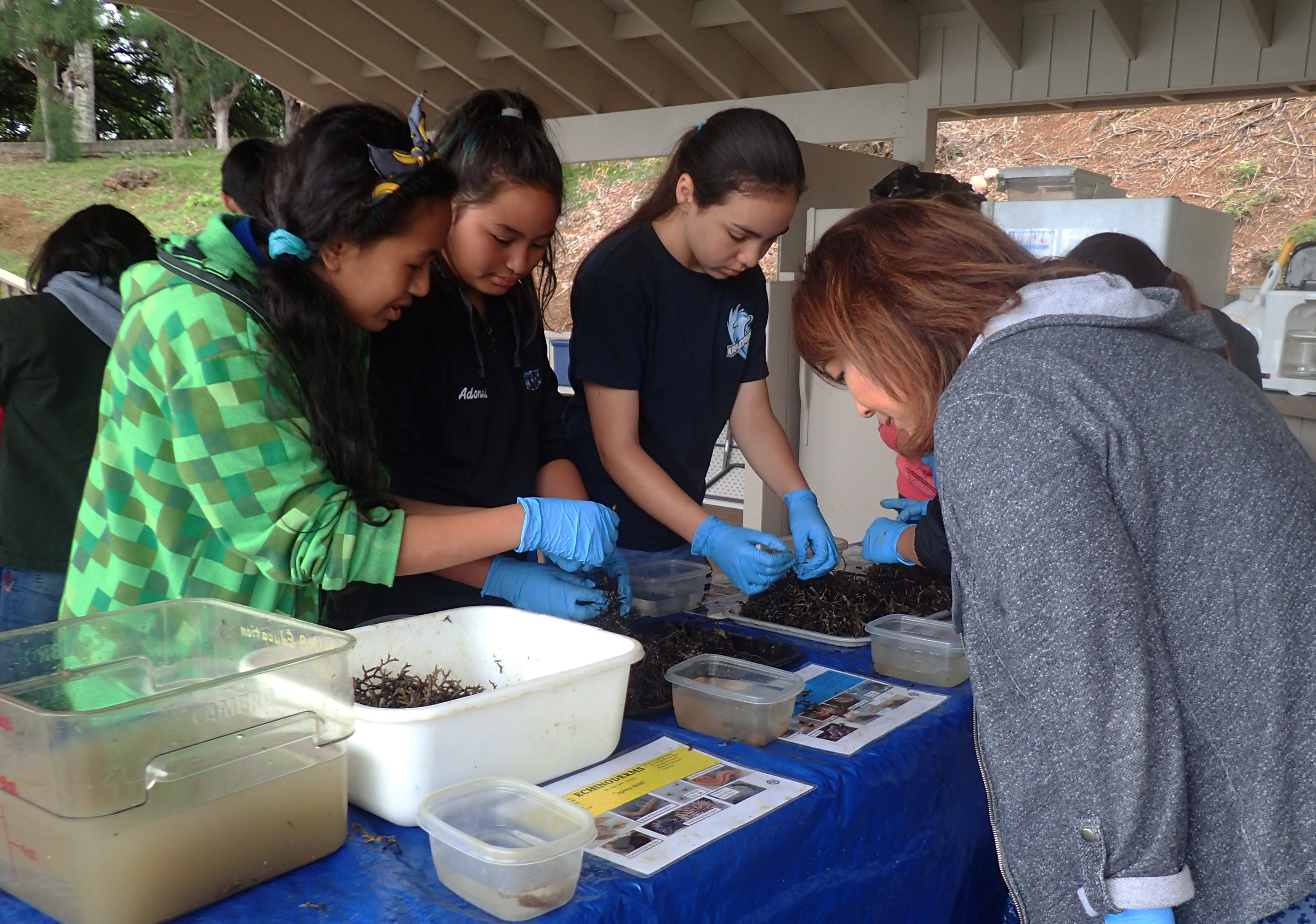 Students from Kapunahala Elementary school visit HIMB