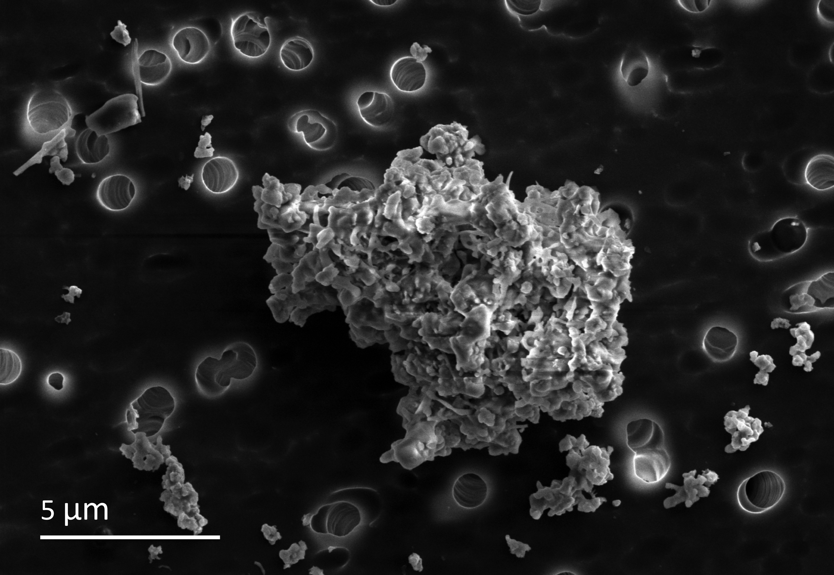 This cometary-type interplanetary dust particle, L2005AR7, was collected by NASA stratospheric aircraft. Its porous aggregate structure is evident in this scanning electron microscope image. Credit: Hope Ishii, University of Hawai‘i.