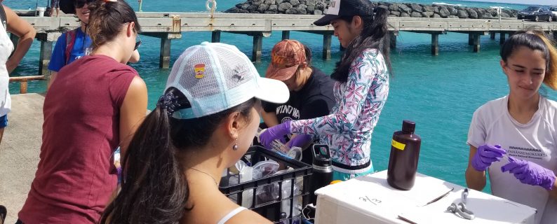 Mauka to Makai students collecting water samples at Makai Pier. Credit: Mauka to Makai students