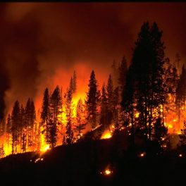 Wildfire. Credit: NOAA