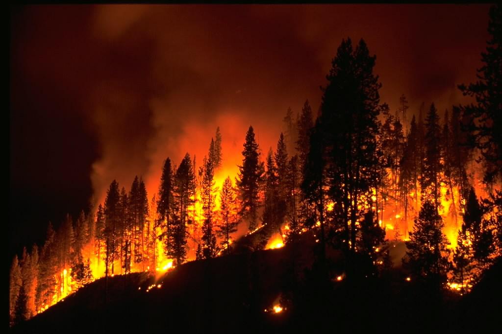 Wildfire. Credit: NOAA