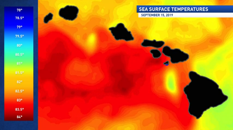 Image of sea surface temperatures around Hawaiian Islands on 09-19-19.