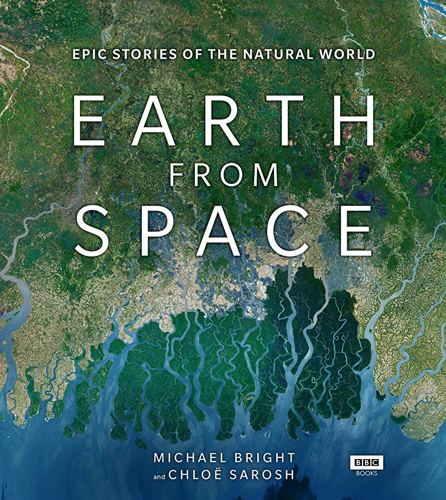 Life from Above (PBS), Earth from Space (BBC) series featured HIMB's Elizabeth Madin's research on reef halos.