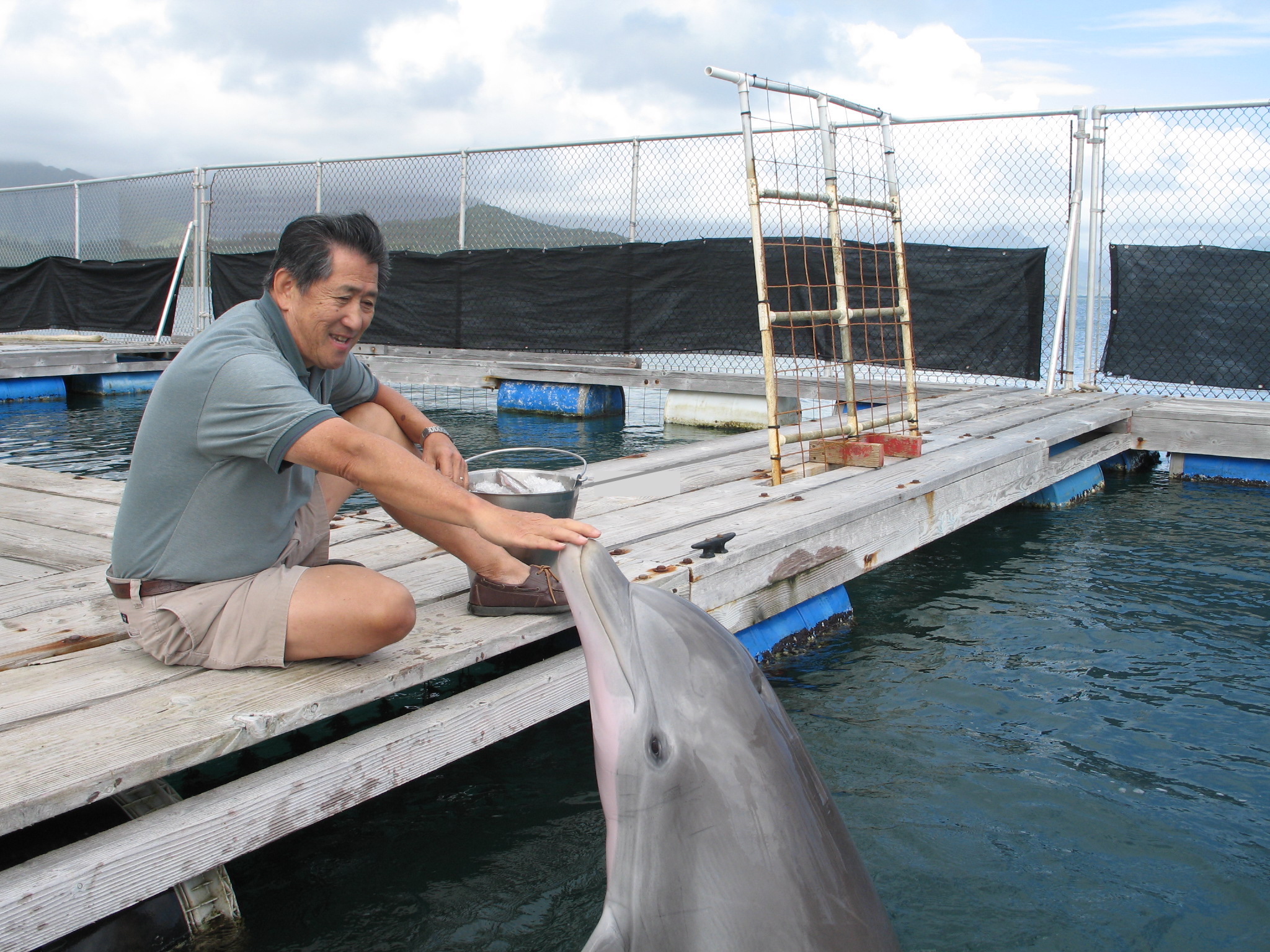 Whitlow Au at Hawaiʻi Institute of Marine Biology with dolphin BJ.