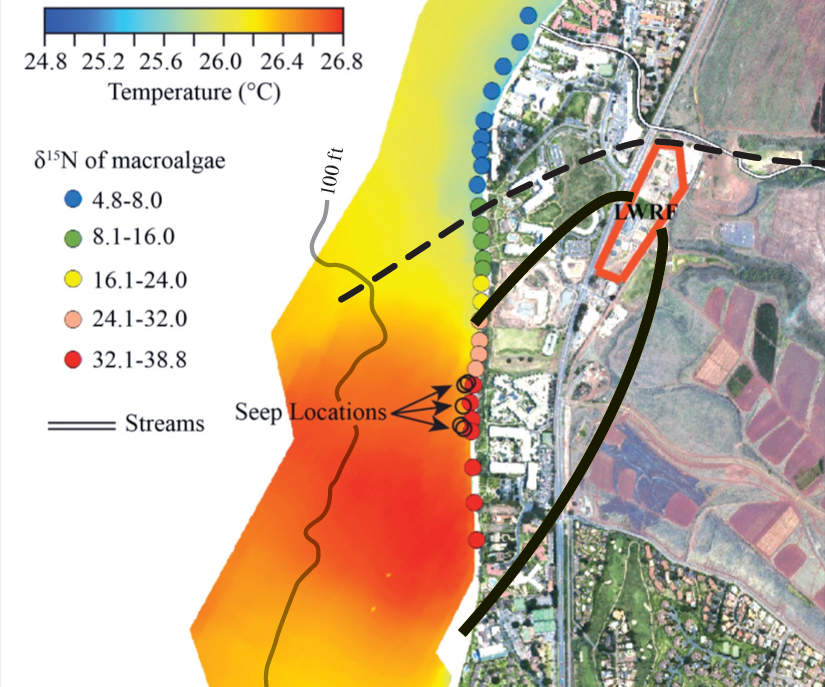 Map of Lahaina, Maui coastal area showing locations of groundwater seeps, the large infrared heat signature of the effluent plume into the coastal waters and unique isotopic signatures of algae. Credit: Glenn, et al., 2013.