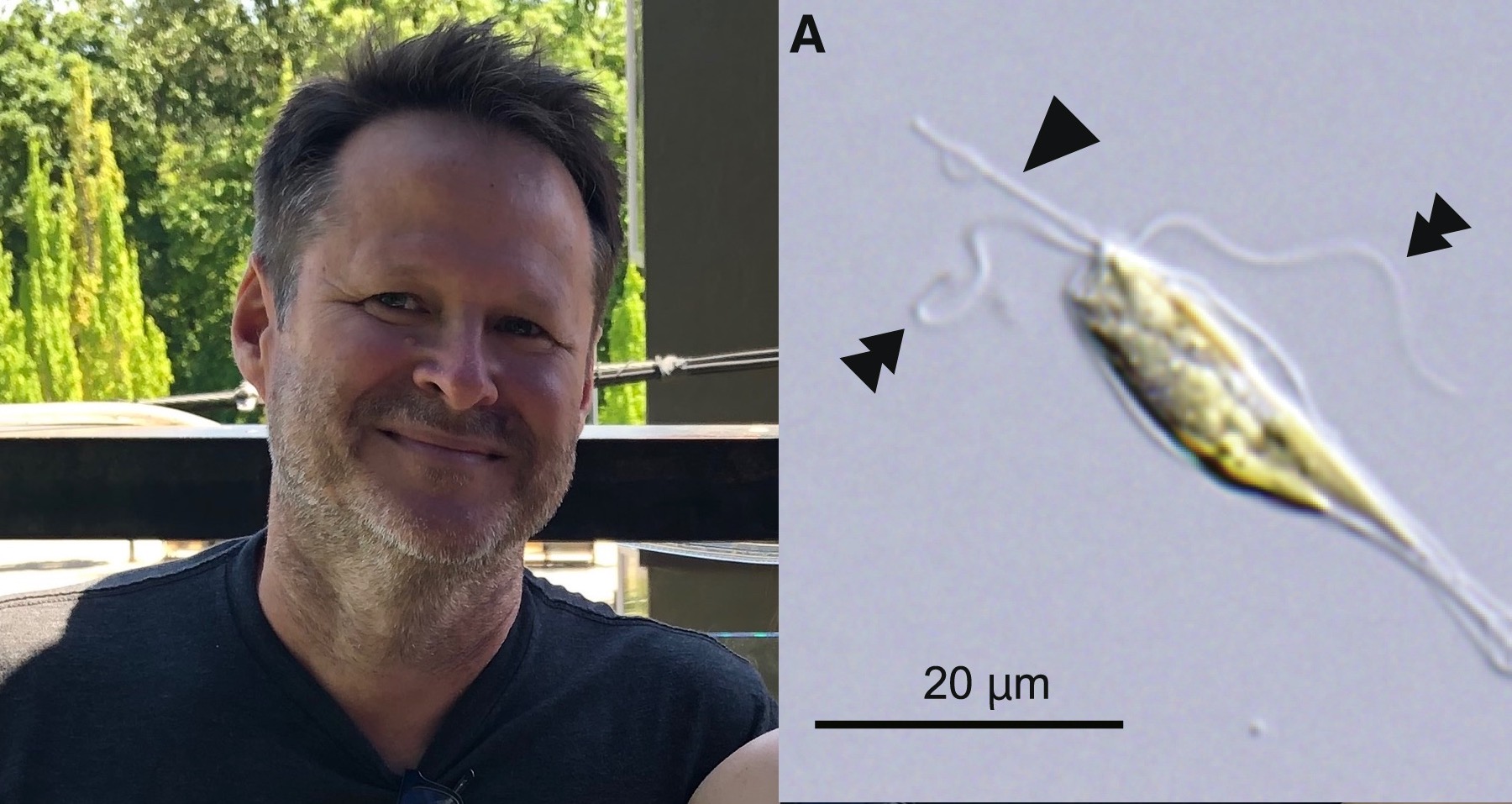 Michael Rappé (L); An alga from the novel phytoplankton class, Rappephyceae (R).