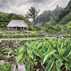 Environmental Earth Science image