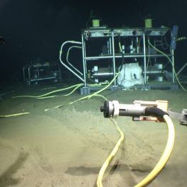 Instrumentation on the seafloor at the Aloha Cabled Observatory with ROV Lu'ukai manipulator arms in view.