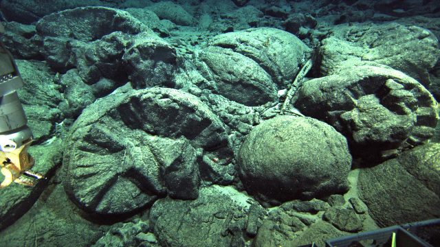 Pillow lava, shown in this photo taken during a 2010 research voyage, formed when Kaena was erupting under the sea before emerging from the ocean.