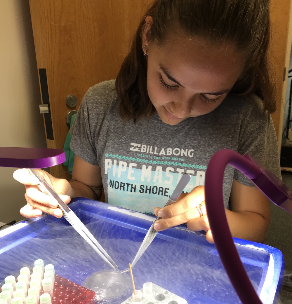 Mariko Quinn working in a coral ecology lab.