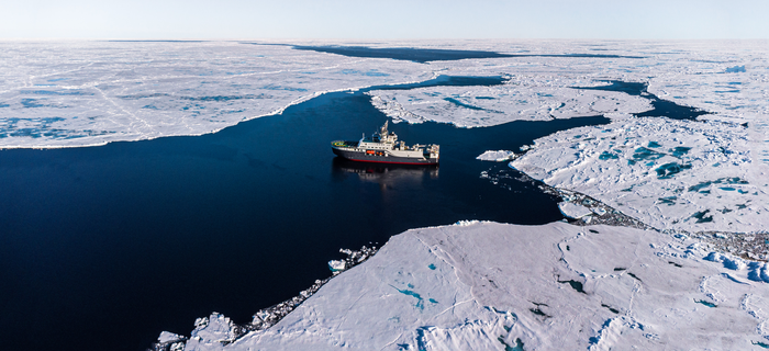 An effort of 15 deep-sea international expeditions has allowed the analysis of abyssal sediments collected in all major oceanic regions, including the Arctic and Southern Oceans.