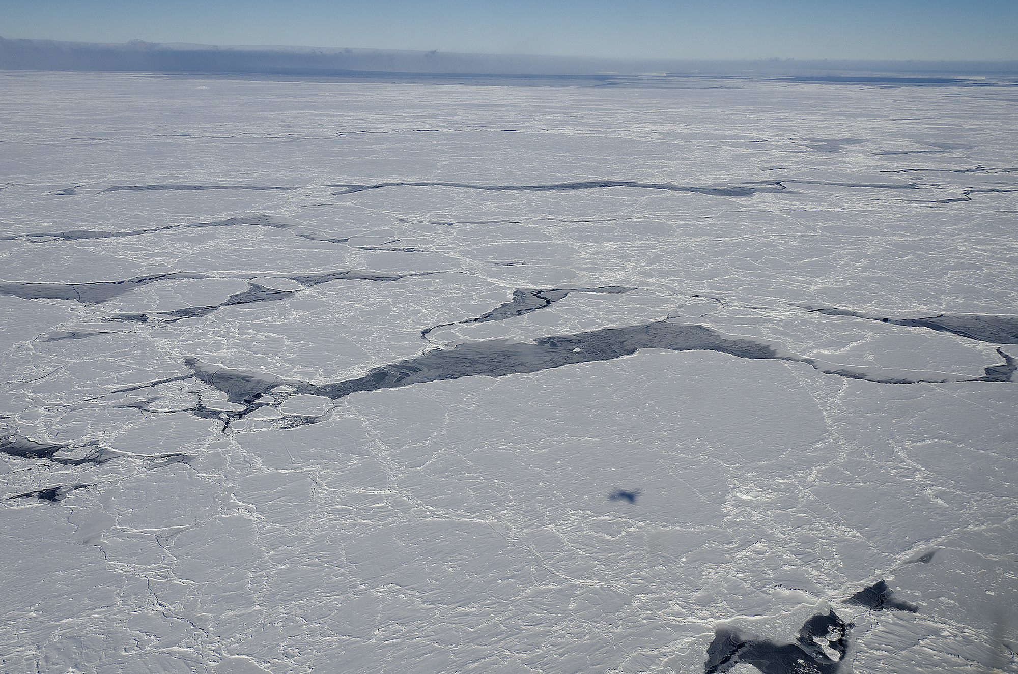 Vast expanse of sea ice off Antarctica.