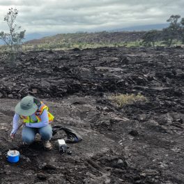 Researchers deployed seismic nodes across Pāhala, Hawai‘i.