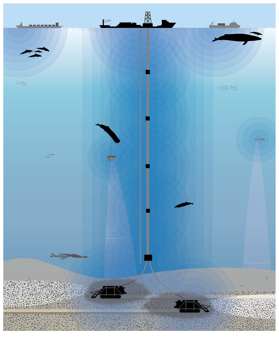 Sources of noise from deep-sea mining activities will span the entire water column, from rigs at the surface, mining tools at the seabed, and pumps along risers to bring nodules to the surface.