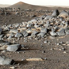 NASA’s Perseverance Mars rover looks out at an expanse of boulders on the floor of Jezero Crater.