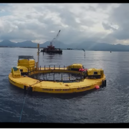Screenshot of wave energy video from Freethink