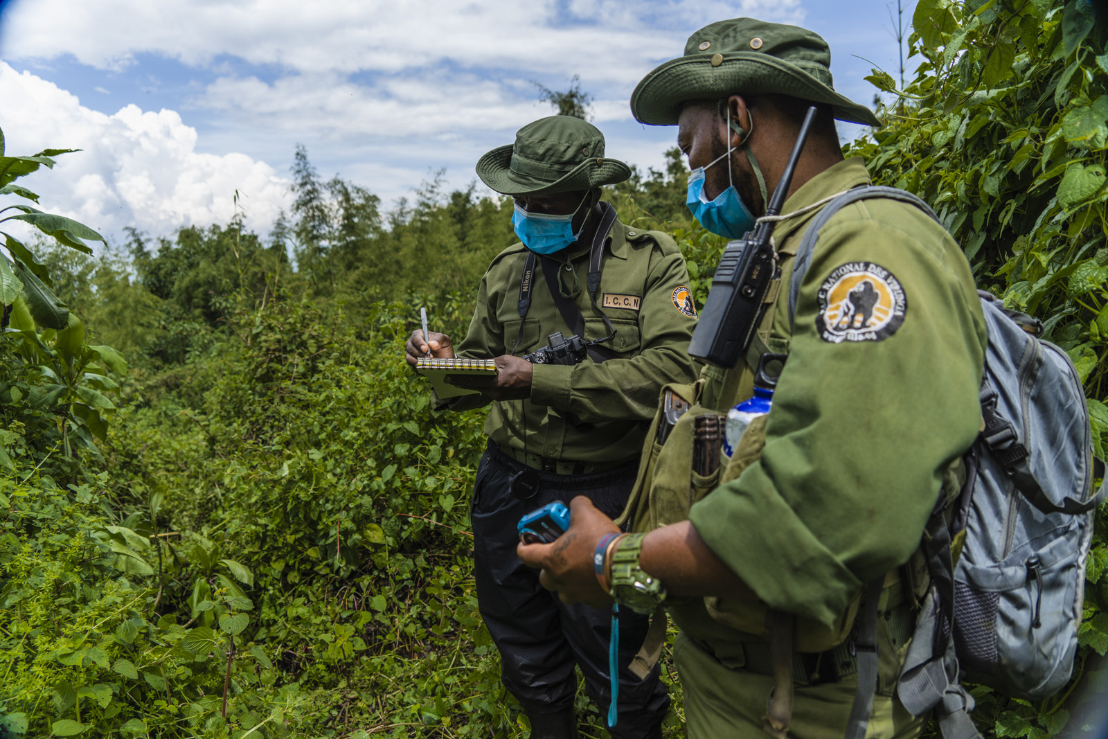 Virunga National Park rangers.