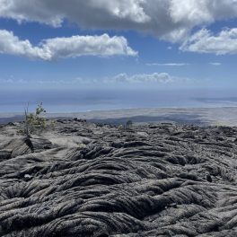 Lava field on the Big Island, Hawaii.
